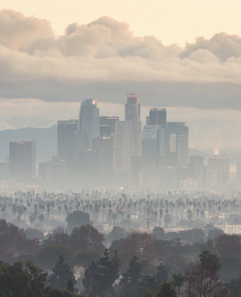 LA lookin’ like a panting