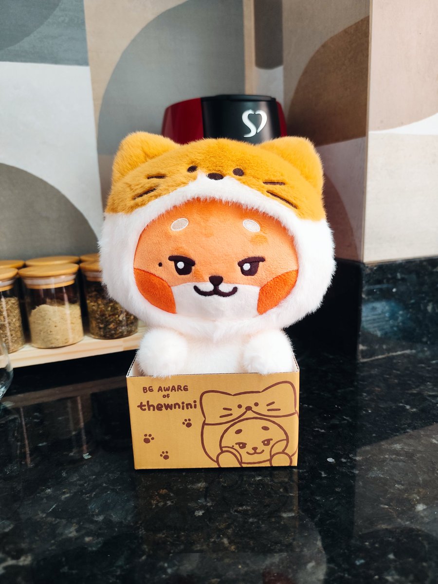 zero2ble's tweet photo. feedback positivo para a @seoulstice_kr pela compra do meu primeiro thewnini.

o processo foi super tranquilo, a comunicação foi muito clara, tudo muito organizado desde a compra até o envio. além de que após a chegada no brasil foi enviado rapidinho.

obrigada 💙 https://t.co/UWoBEAQjep