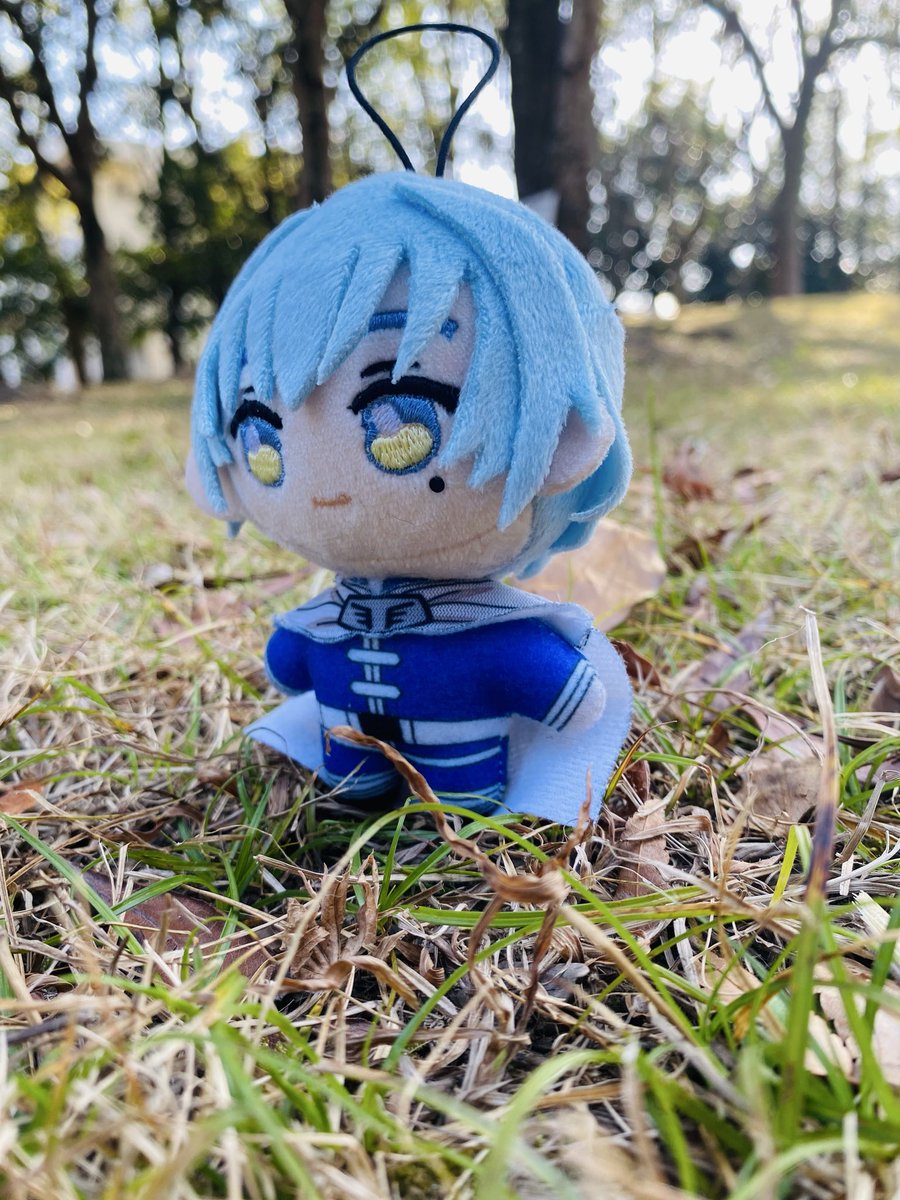 Chibi Dachi tweet media