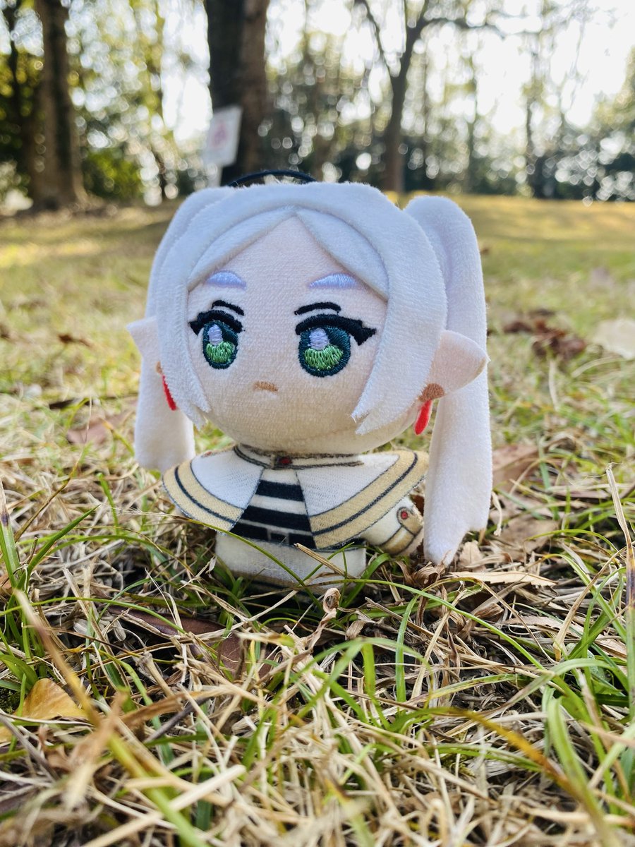 Chibi Dachi tweet media