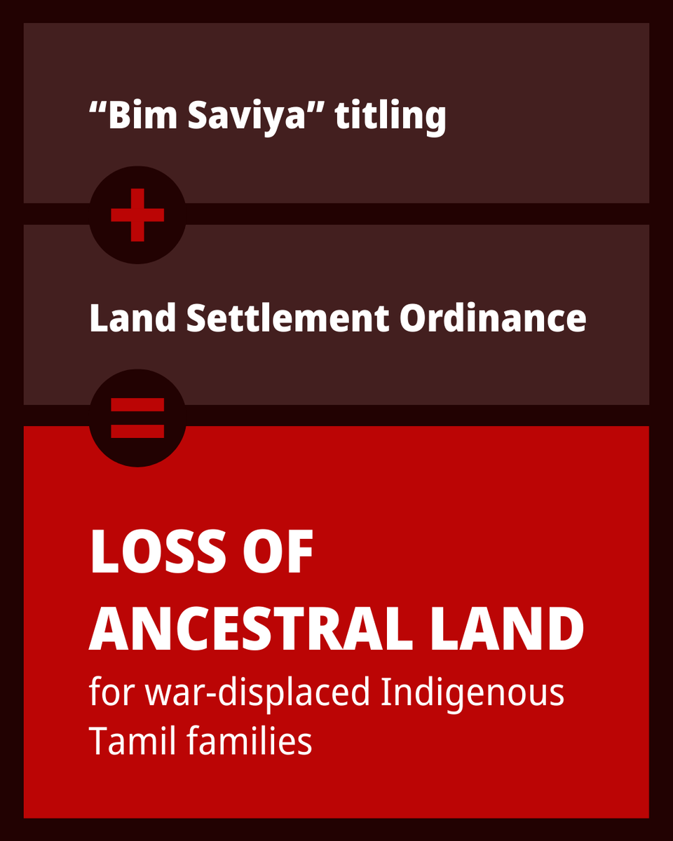 Oakland Institute tweet media