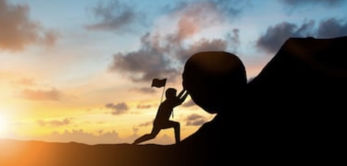 WAD 🍷 tweet media