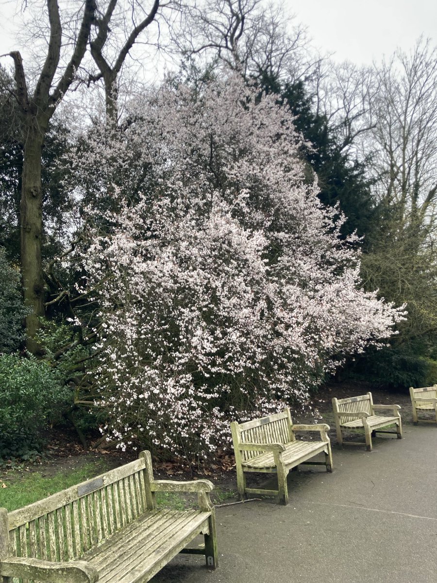 Waterlow Park tweet media