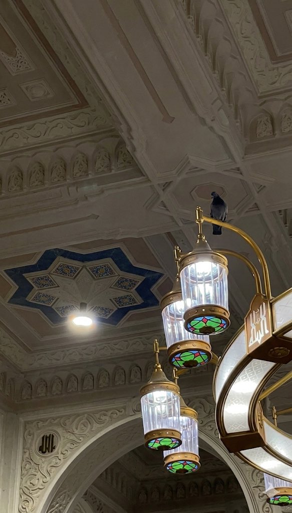 PTShahad09's tweet photo. تطــوع الثــاني عشــر من رمــضان 🌙❣️. https://t.co/lP0xwEyzSP