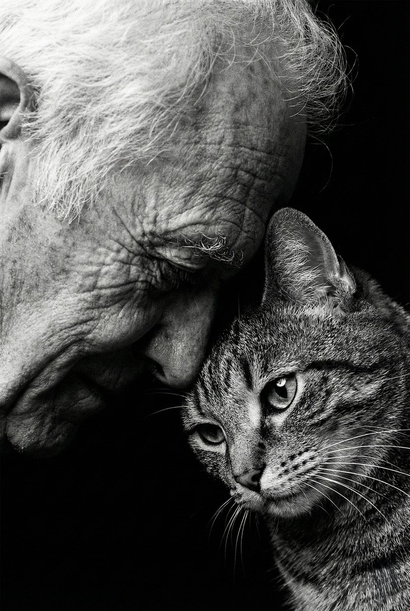 Anthrozoös Journal tweet media