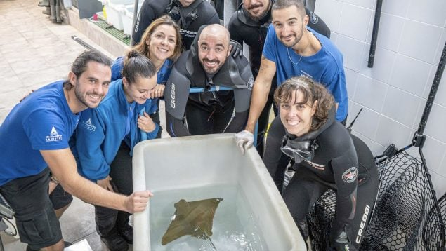 Latido Terrestre tweet media