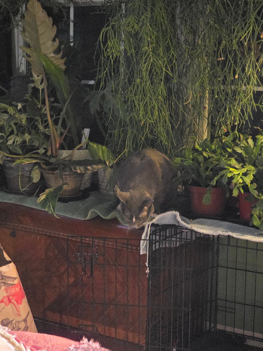 Sean R. Frazier, Author tweet media