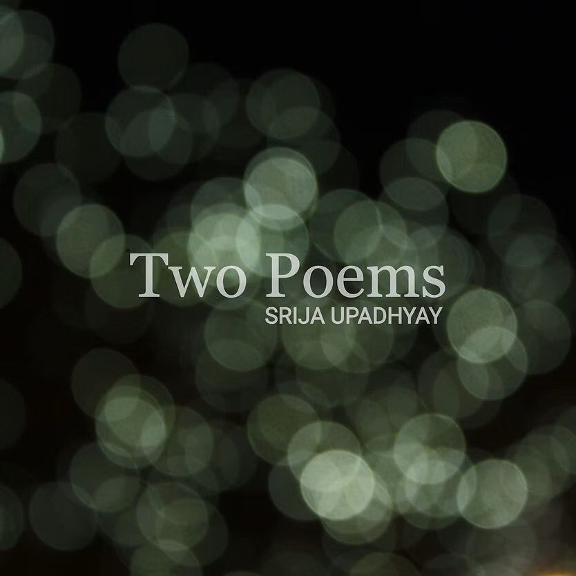 MoonLit Getaway tweet media