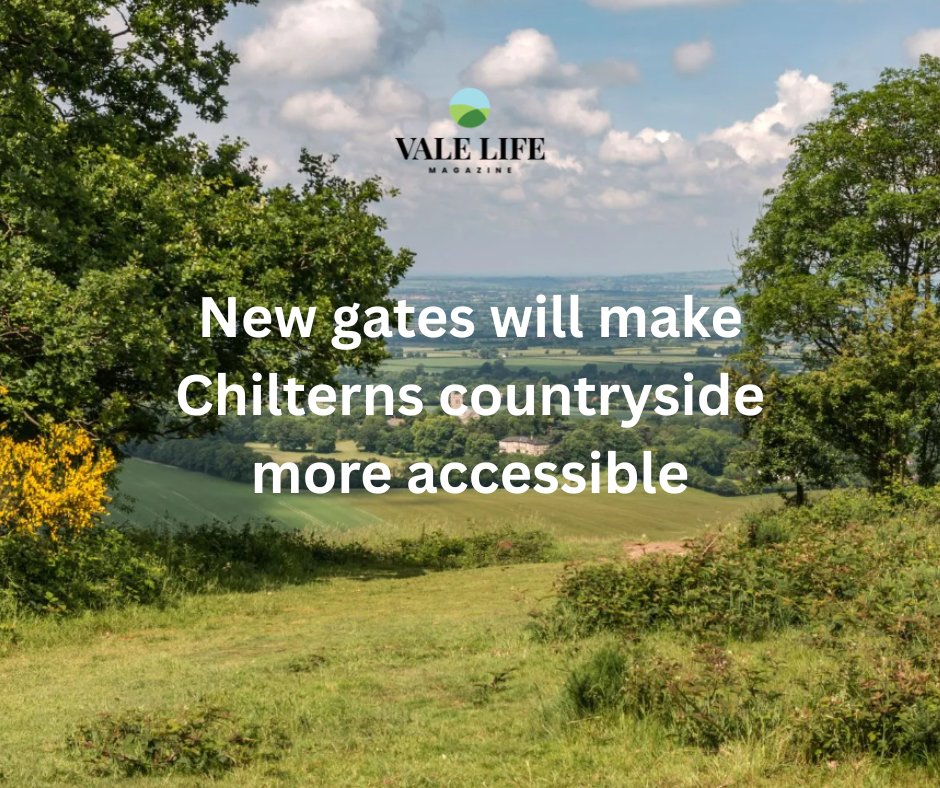 Vale Life Magazine tweet media