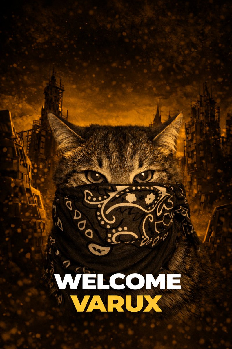 TeamQuax tweet media