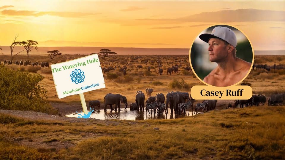 Metabolic Collective tweet media