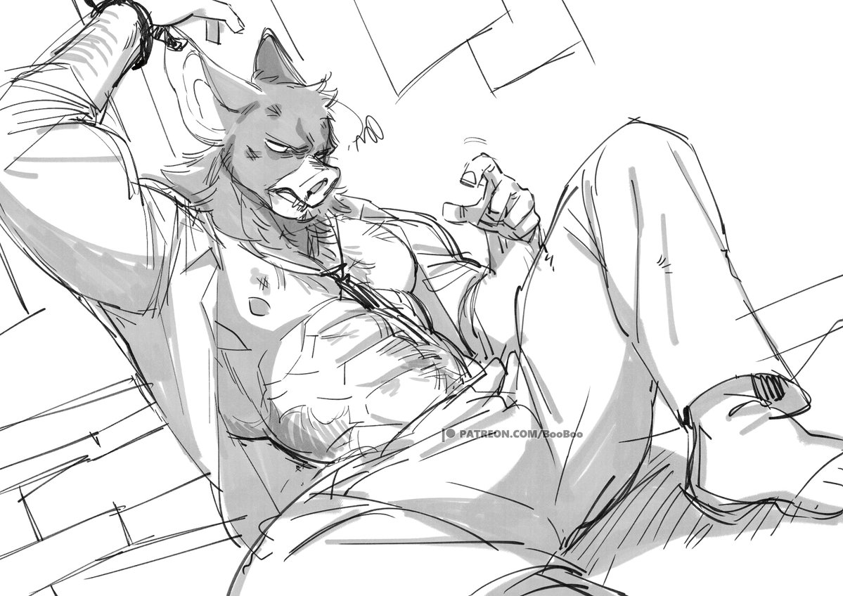 BooBooブーブー tweet media