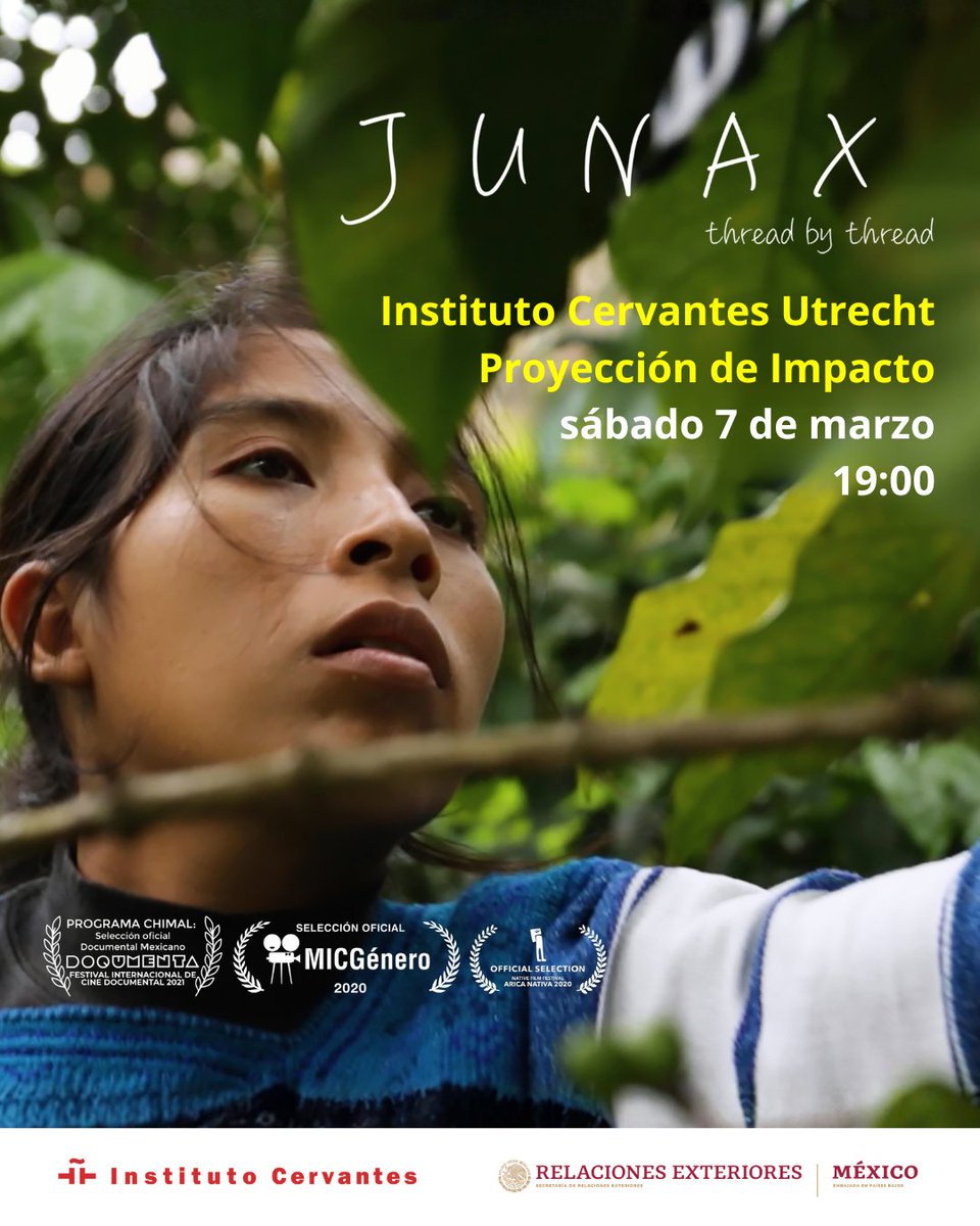 EmbaMex Países Bajos tweet media