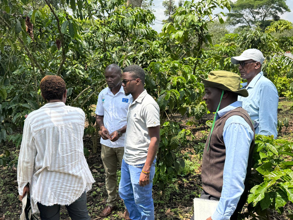 National Coffee Research Institute Uganda (NaCORI) tweet media