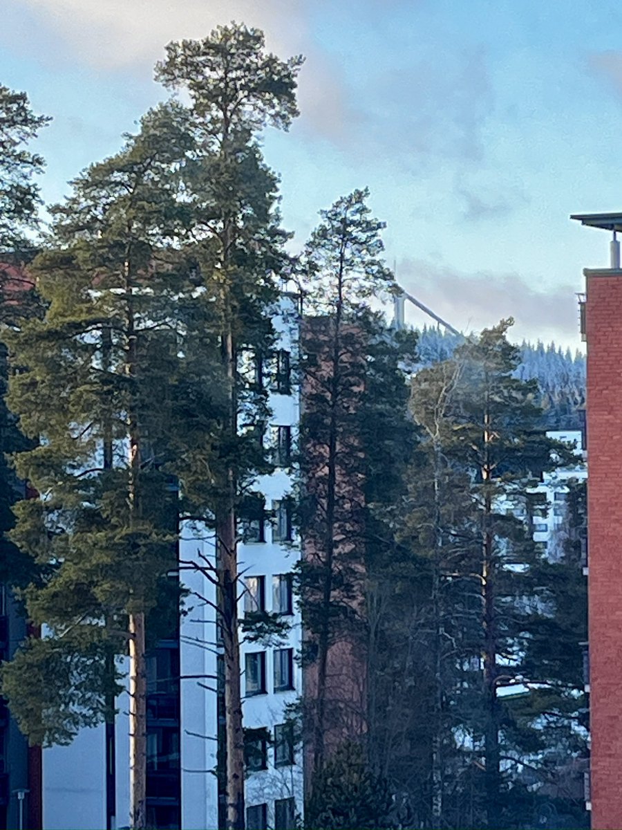 Lightning Muurame tweet media