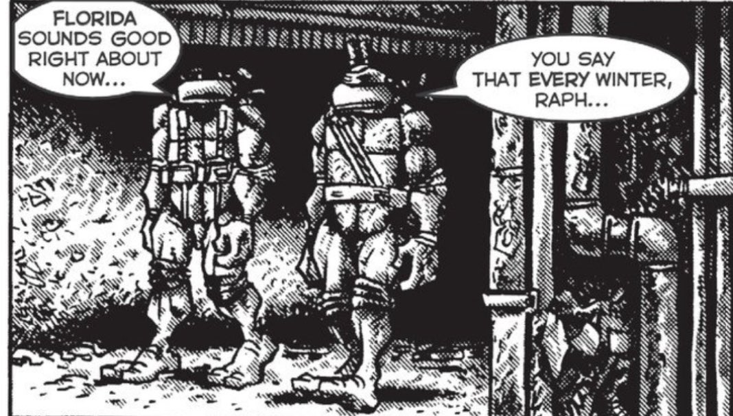 Never falling for the propaganda that the OG Turtles are turbo violent killers