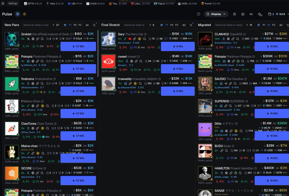 Sebastian Orellana tweet media