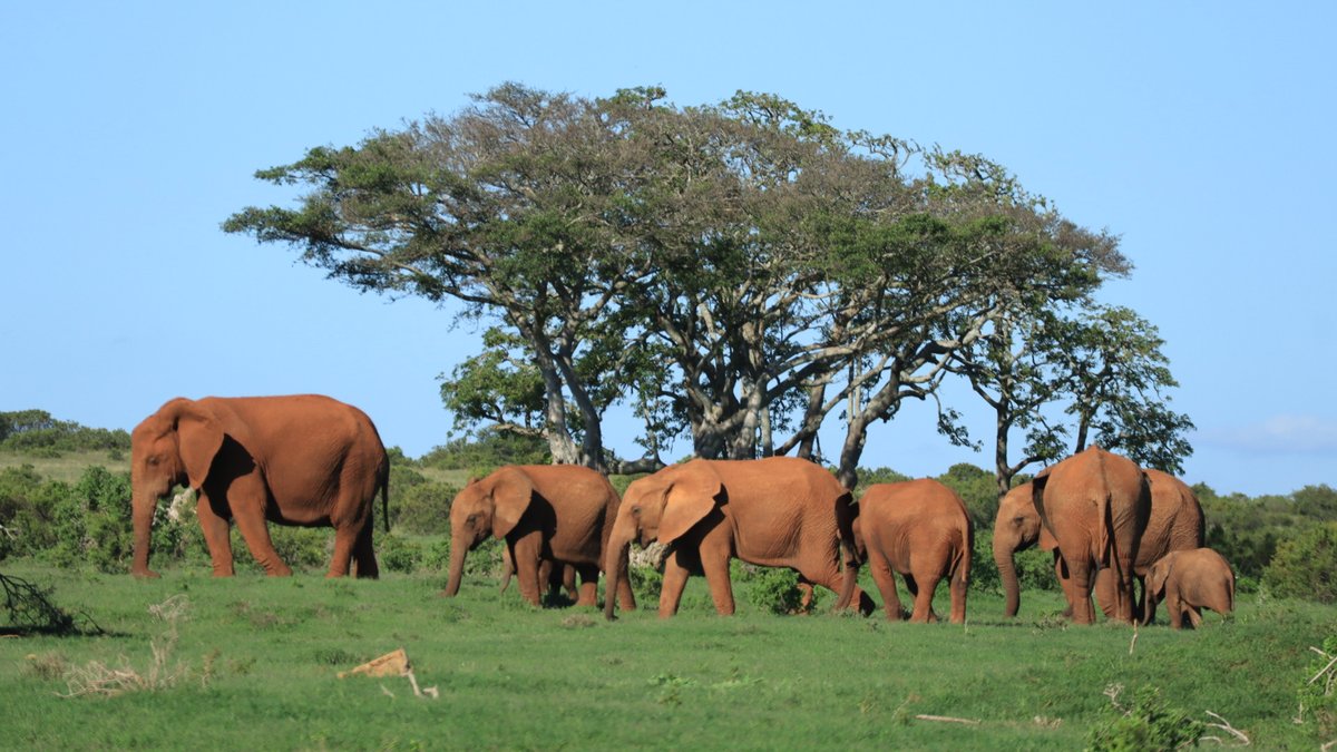 Garden Route Trail tweet media