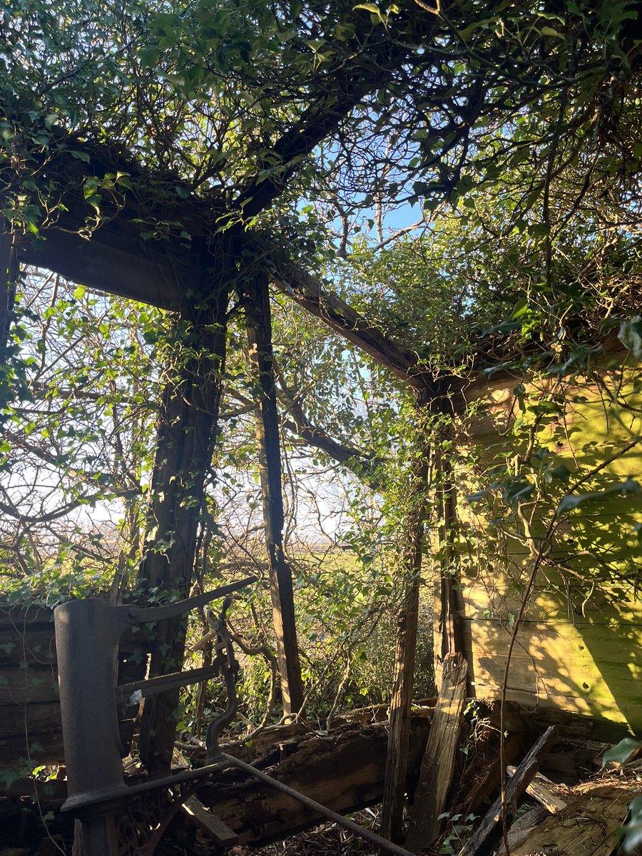 spring = here 
life = worth living
