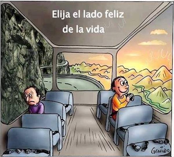 🌿✨ ¡Elige ver florecer lo que te rodea! ✨🌿