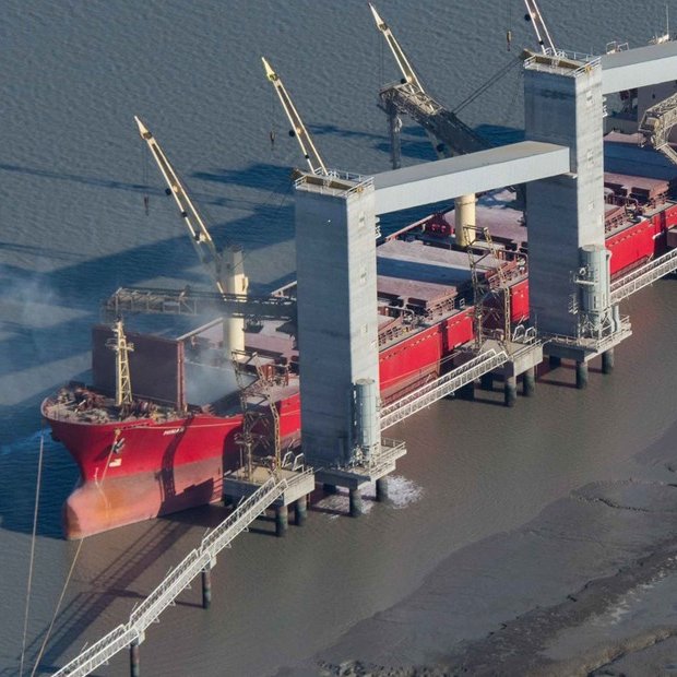 CAYÓ UN 30% LA LIQUIDACIÓN DE DIVISAS DEL SECTOR AGROEXPORTADOR

En febrero las agroexportadoras liquidaron US $1.289 millones, 30% menos que en enero, según CIARA-CEC. El acumulado del primer bimestre fue de US $3.140 millones: 26% por debajo del mismo período de 2025.

Desde el