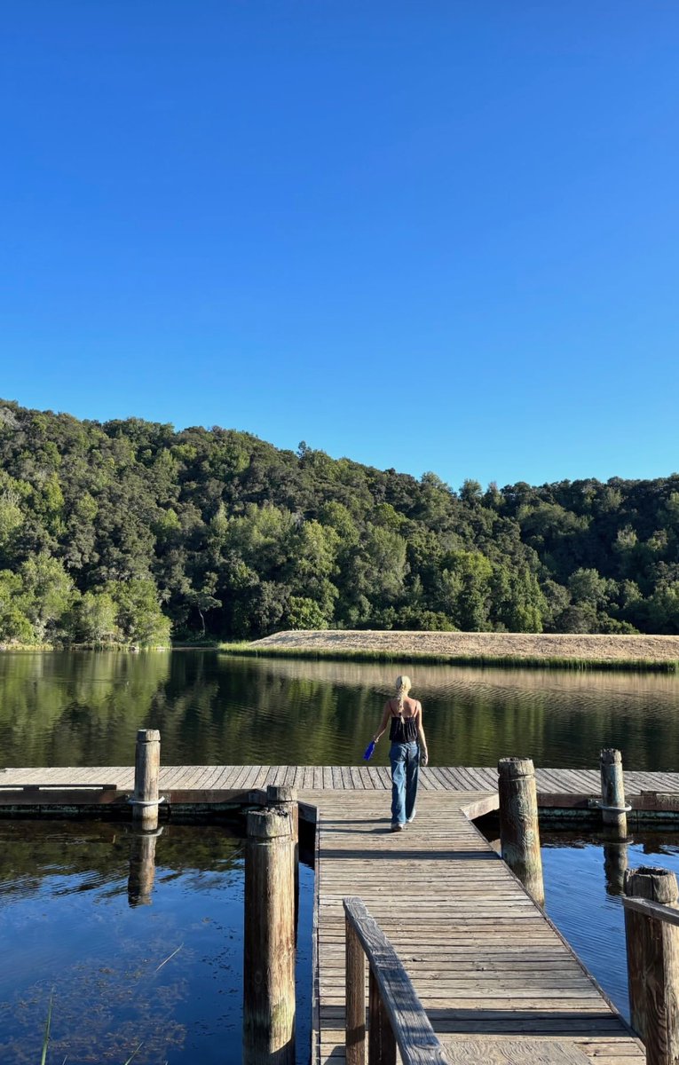 Piper Van Wagenen tweet media