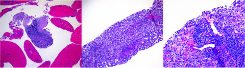 JPGN Reports tweet media