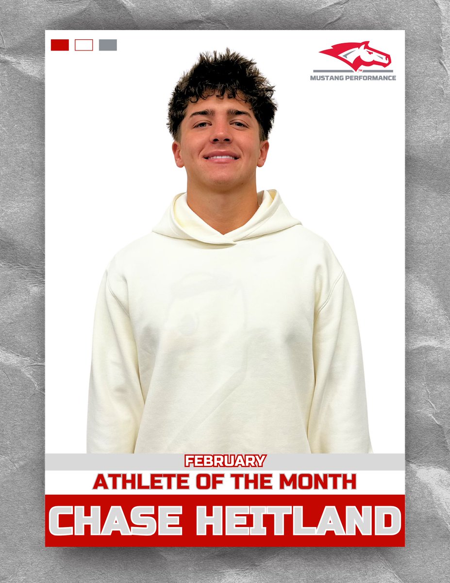 Mustang Performance tweet media