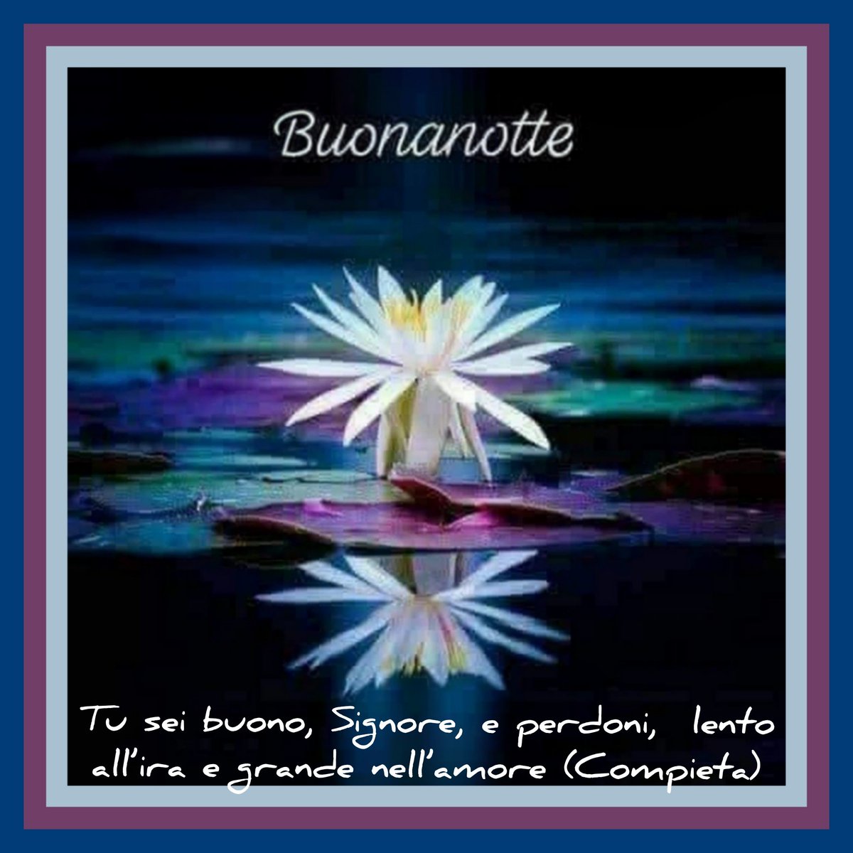Mary (@mary75231257) on Twitter photo 