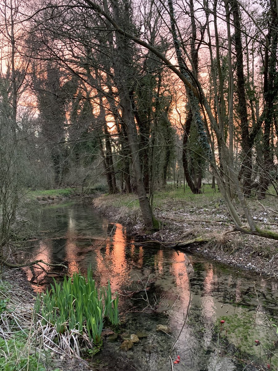 RussellB1ggs's tweet photo. @LandguardNot 🙏possibly the rarest ecosystem on Earth and England doesn’t protect them 🤯
🆘 #SaveOurStreams https://t.co/lKlFsht6Lv