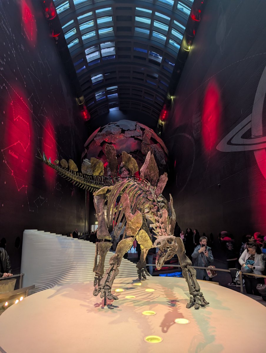 Callum Conor Butcher tweet media