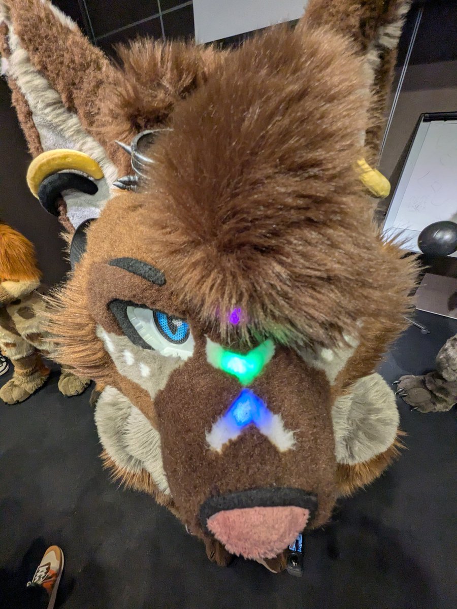 Hikari Sneppy 🚅🍿 🔜 Cfz tweet media