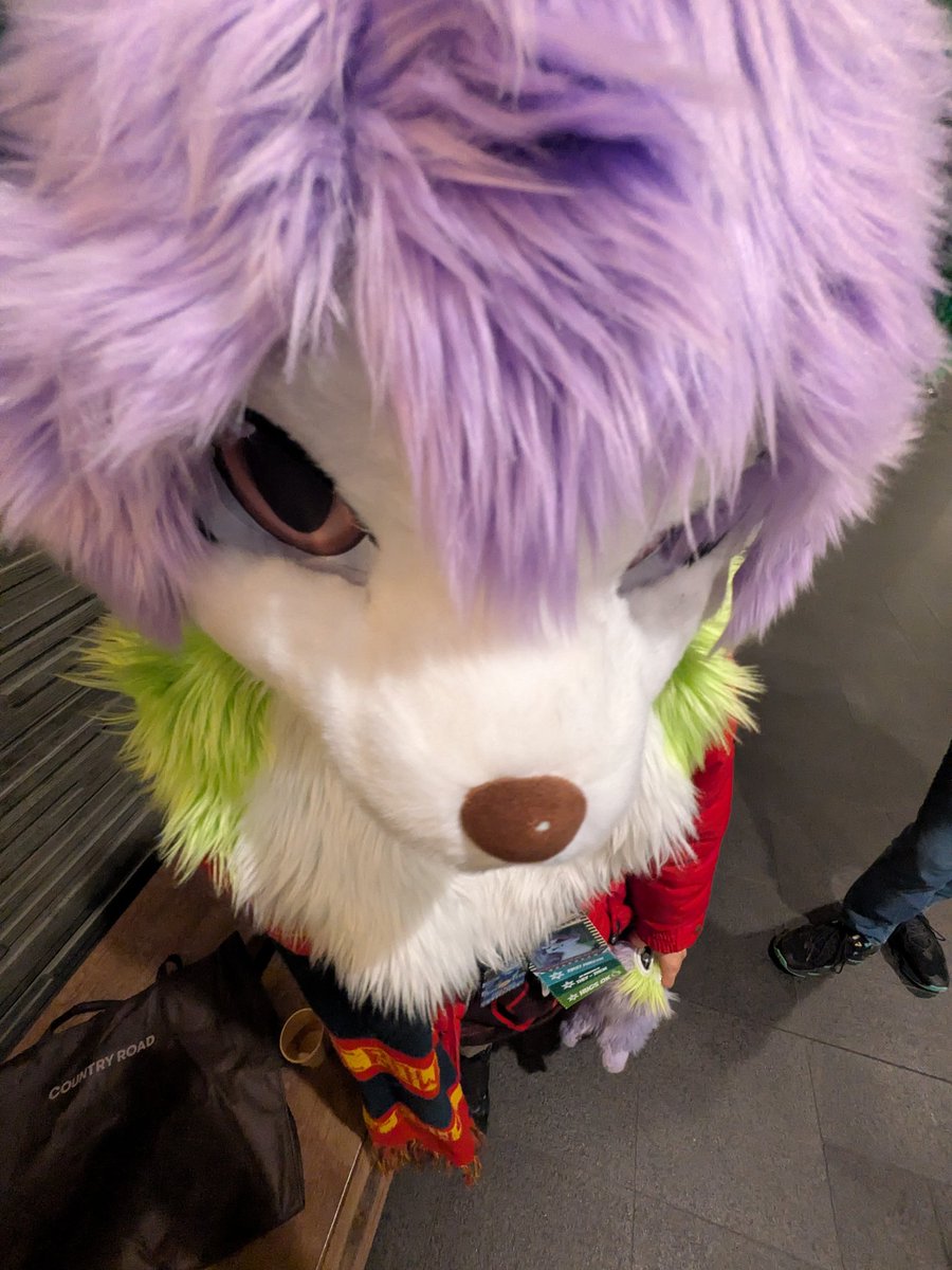 Hikari Sneppy 🚅🍿 🔜 Cfz tweet media