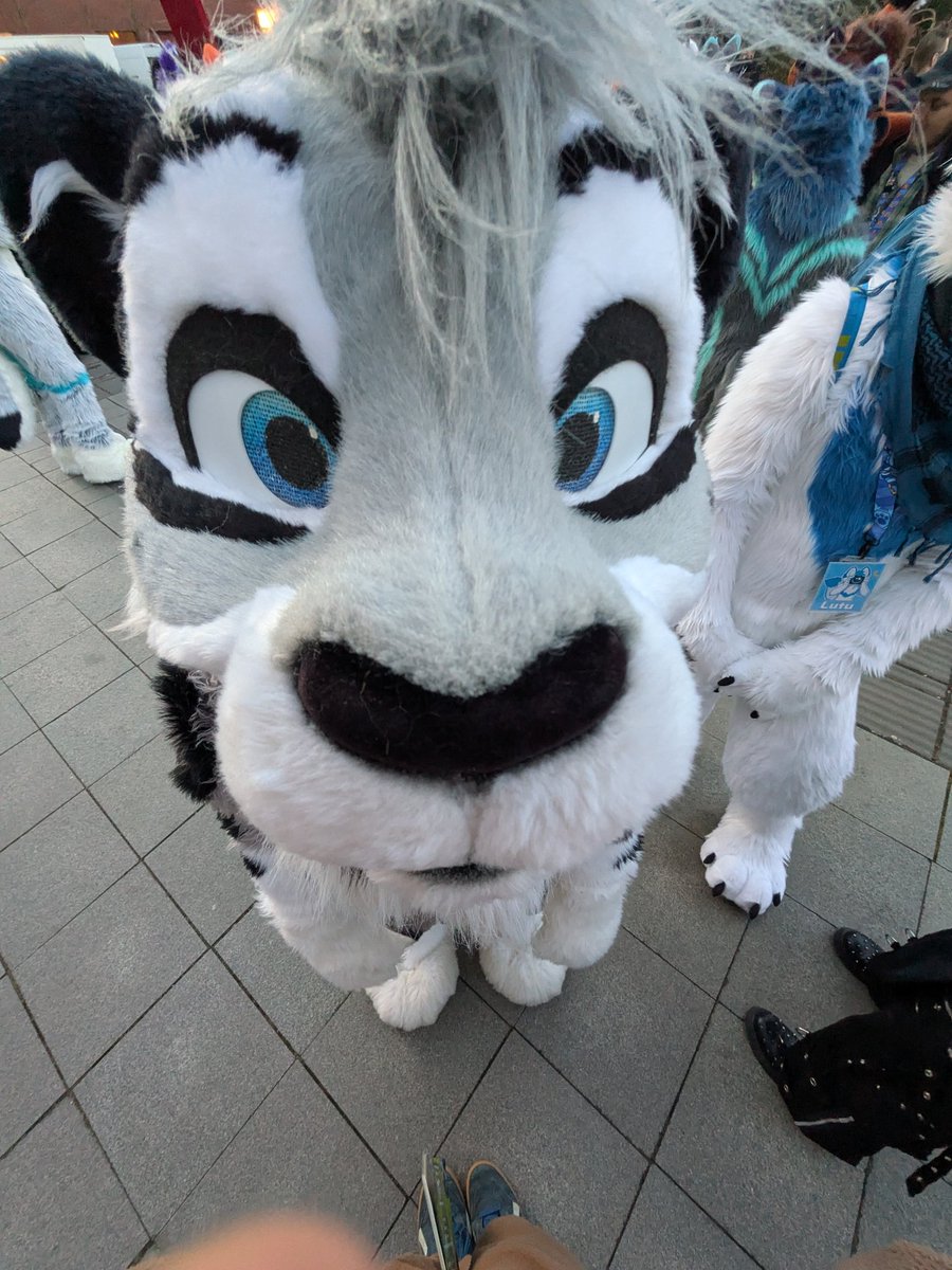 Hikari Sneppy 🚅🍿 🔜 Cfz tweet media