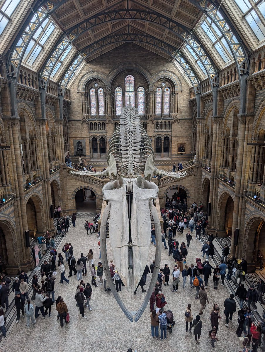 Callum Conor Butcher tweet media