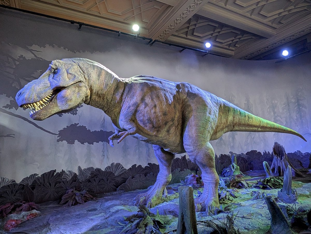 Callum Conor Butcher tweet media