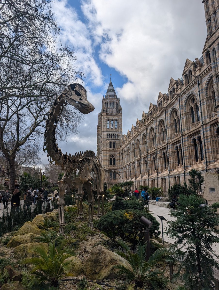 Callum Conor Butcher tweet media