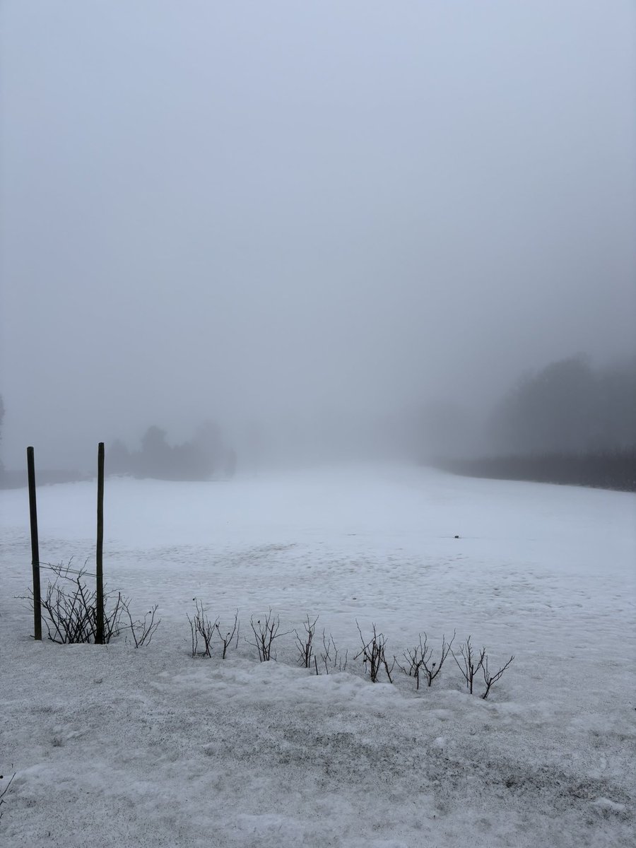 Sunny ☀✨ tweet media