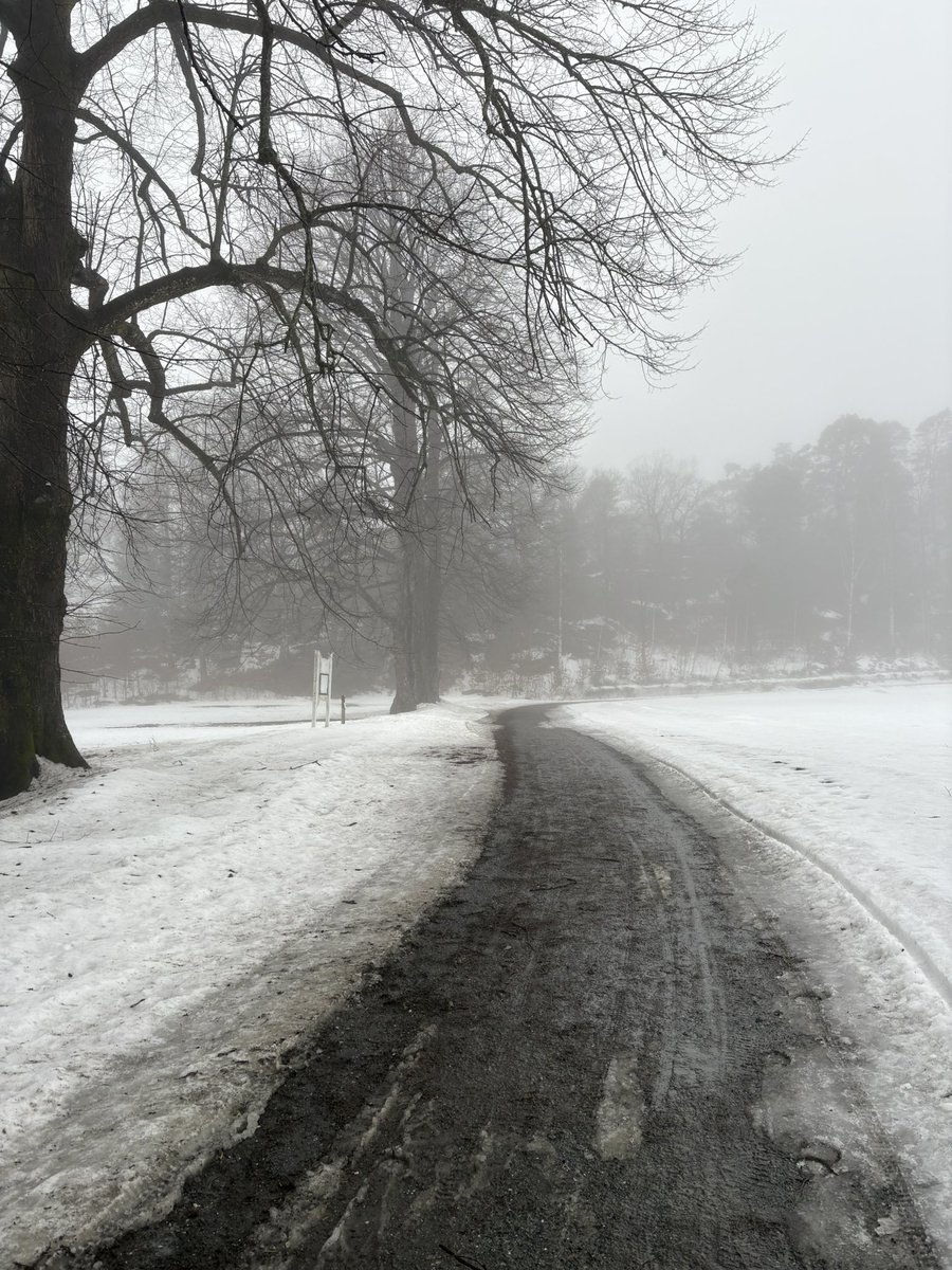 Sunny ☀✨ tweet media