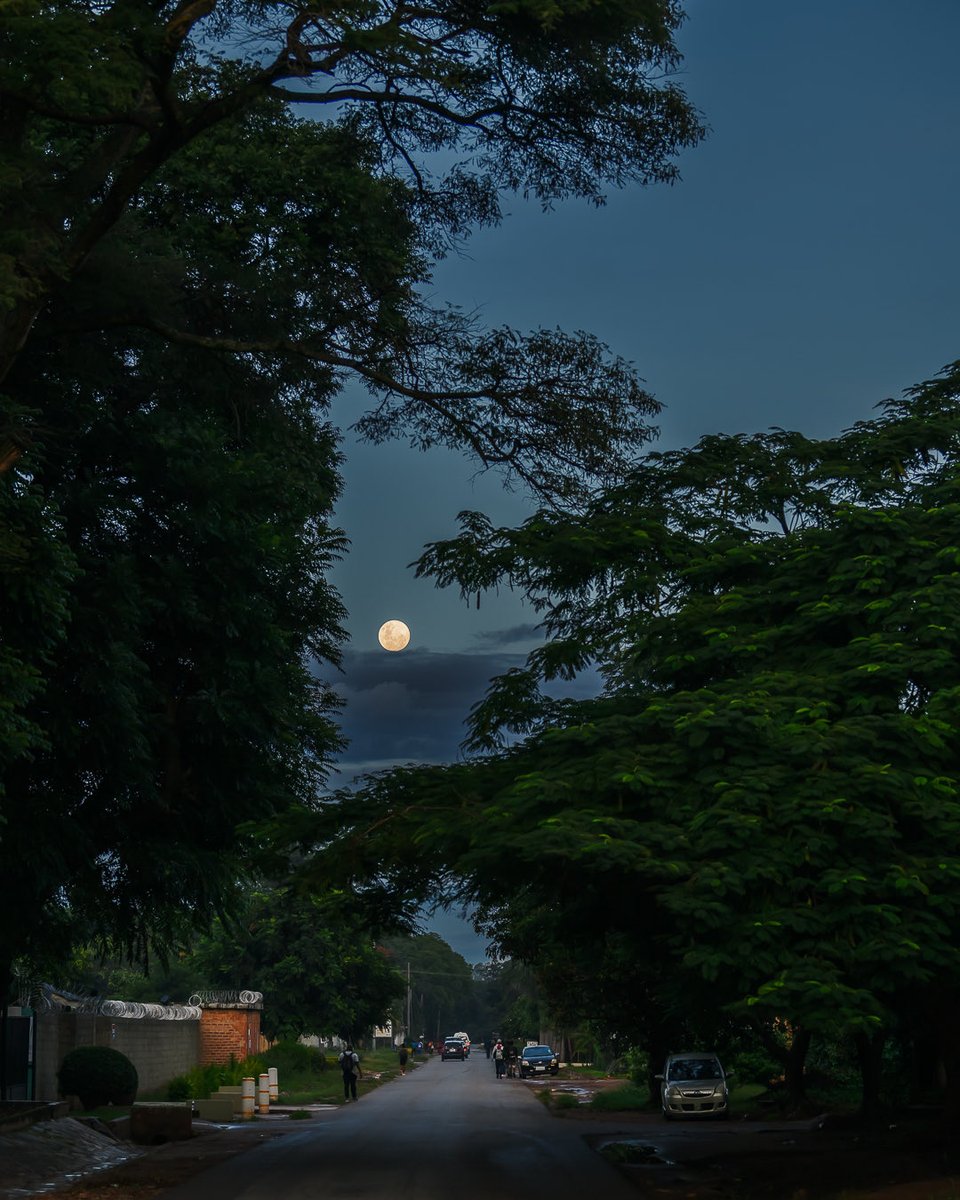 danapatelphoto's tweet photo. moon of the month https://t.co/O7IUvtyaQQ