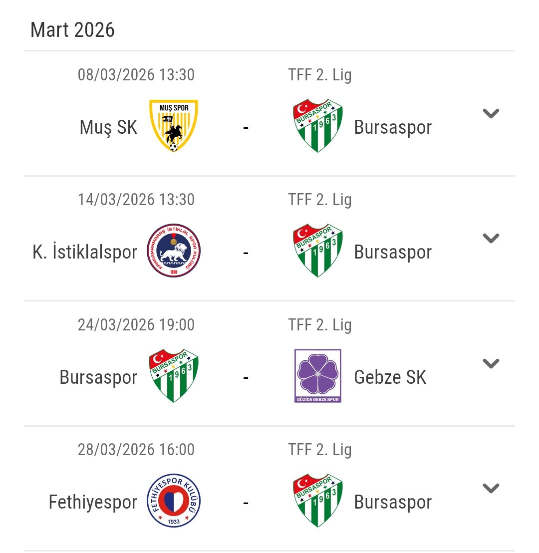 Sevdam Bursaspor tweet media