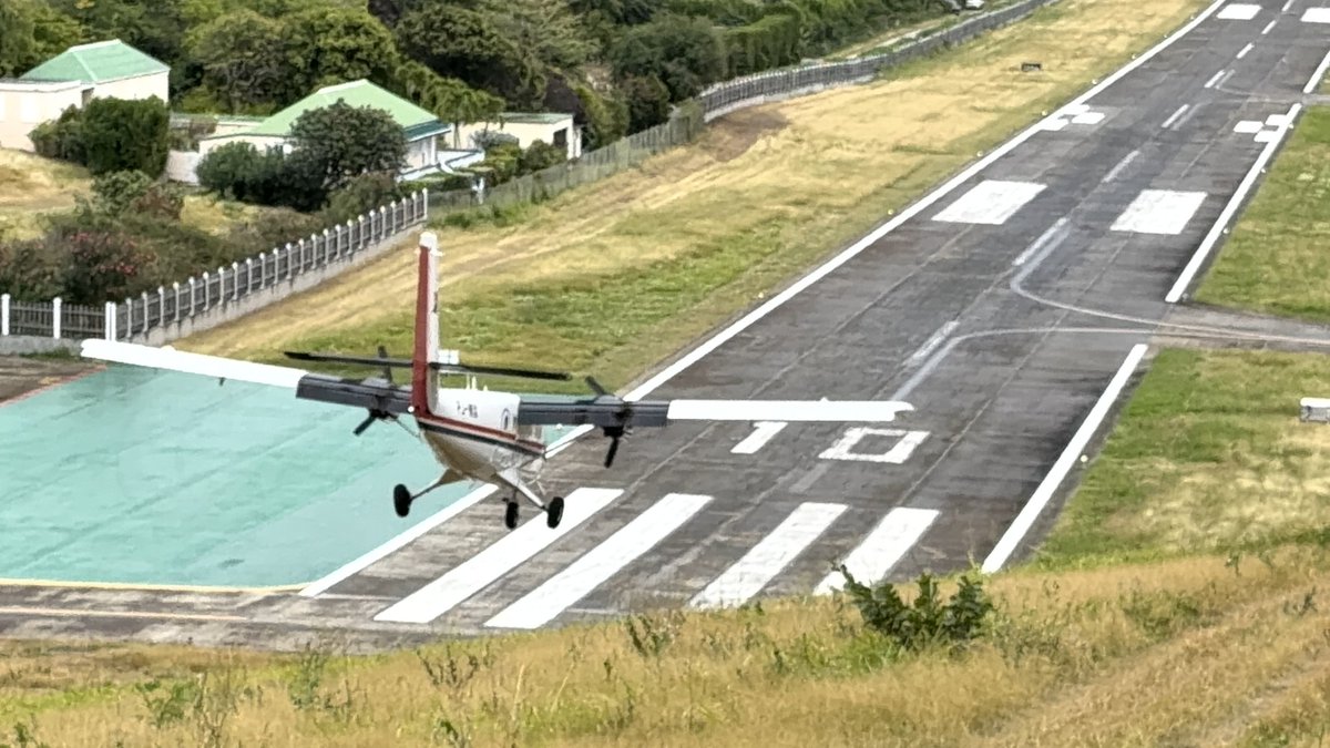 Runway Girl tweet media