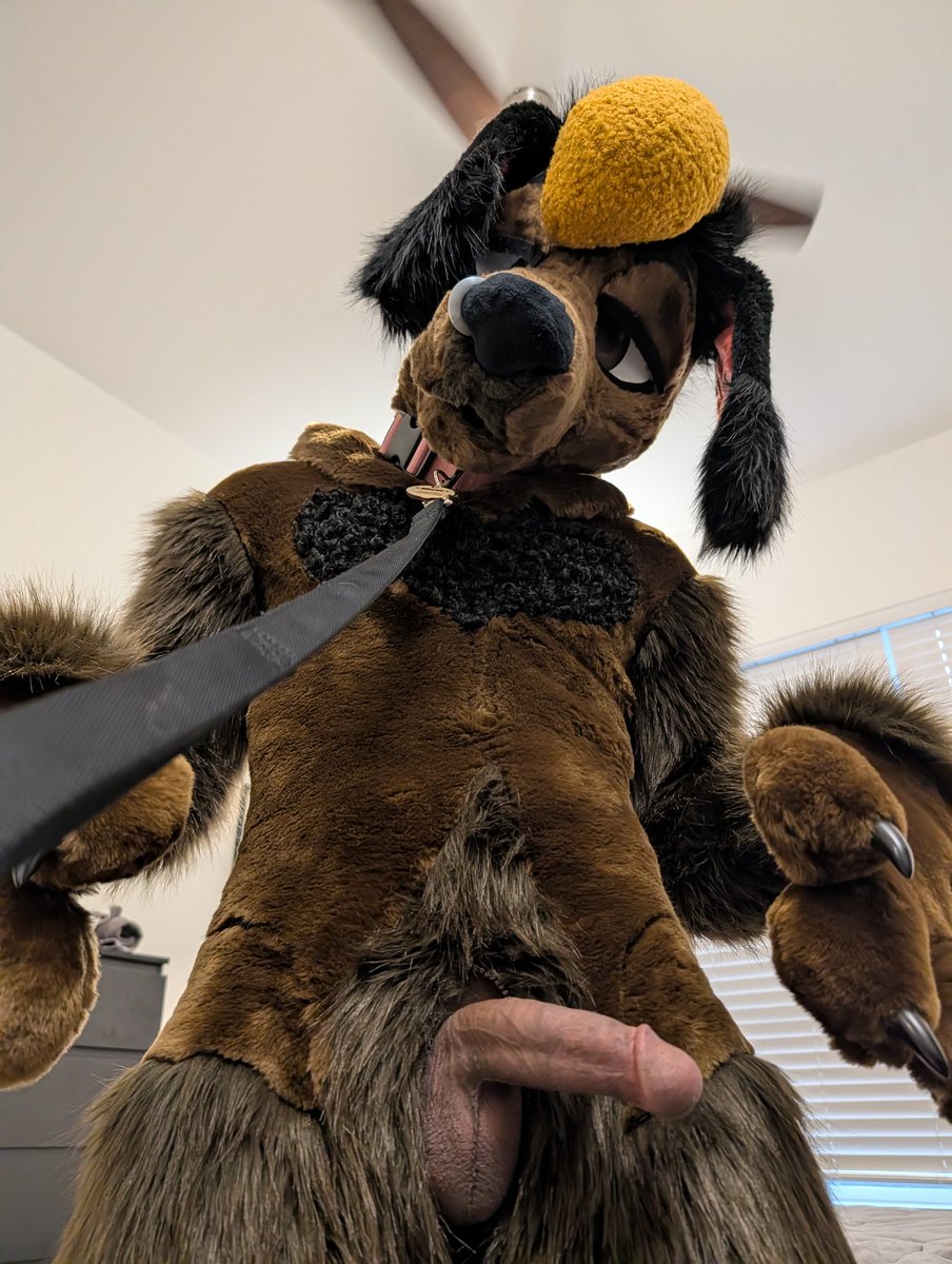 Stupid Poodle 🔞🐩 tweet media