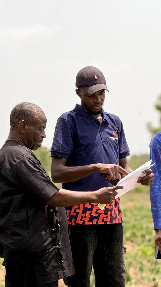 Hayproperties tweet media