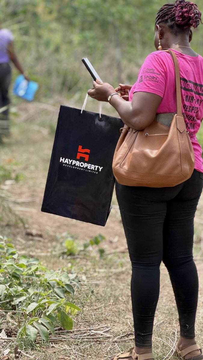 Hayproperties tweet media