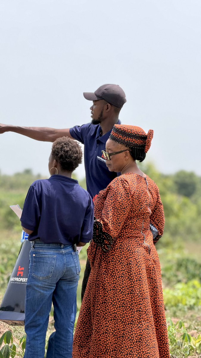 Hayproperties tweet media