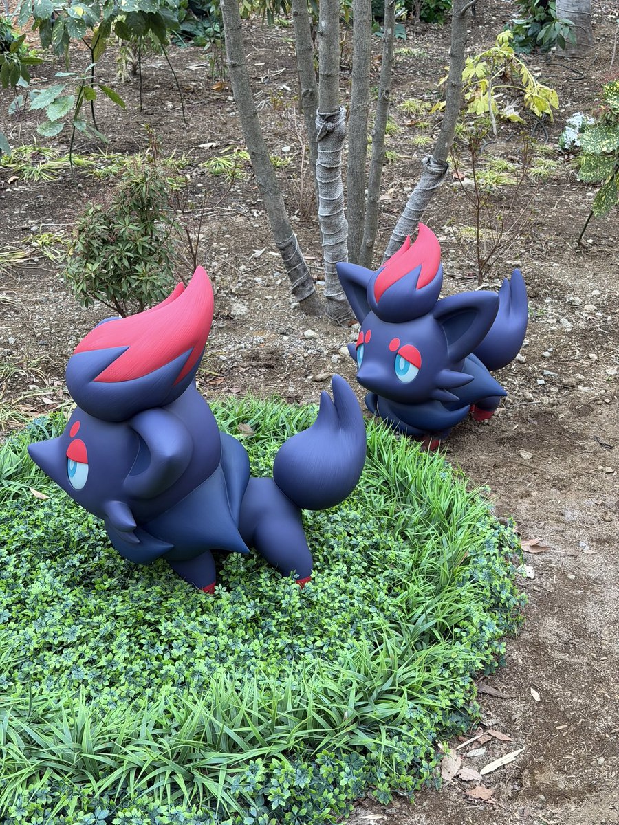 Sciurus_O's tweet photo. コンヌ！こんぬだよ！ https://t.co/0hNJ0ar7dd