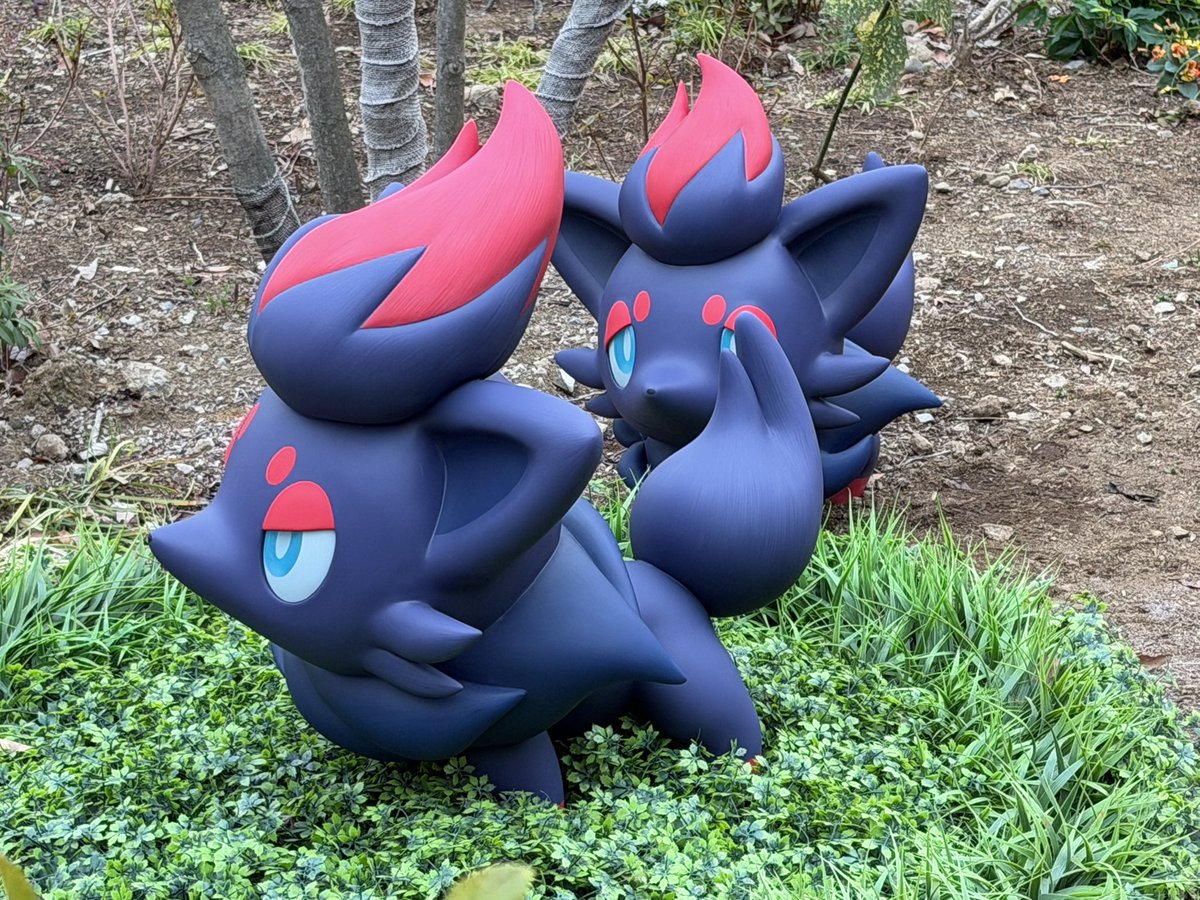 コンヌ！こんぬだよ！