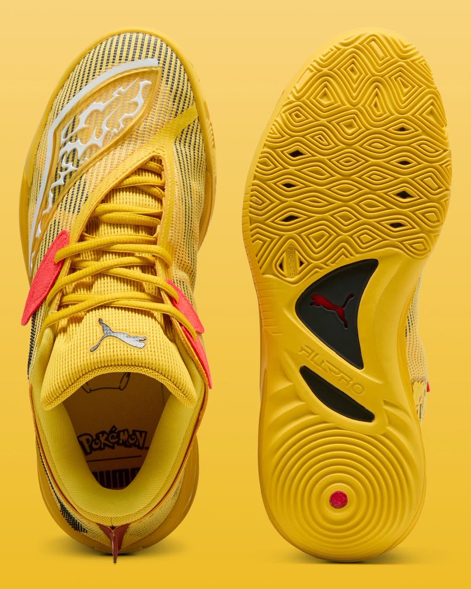 Andy Collectz tweet media