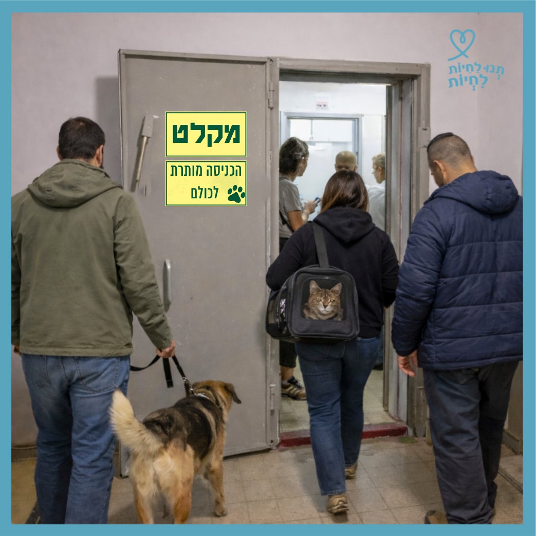 noyanrd's tweet photo. בקצרה: לכולם מותר להכנס!
https://t.co/ZCnzBS3Sql https://t.co/KYA6kmxCic
